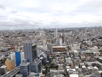 View from the Sangenjaya Carrot Tower Observation Lobby, Tamagawa-dori side