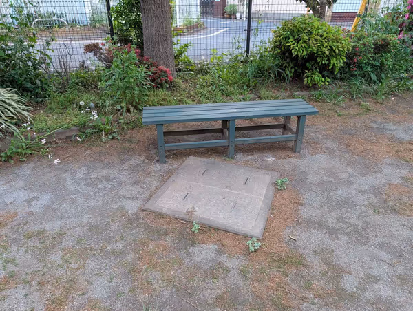 小竹の庭の写真1