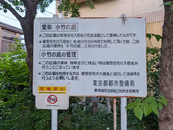 小竹の庭の写真2