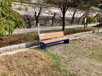 城西広場の写真1