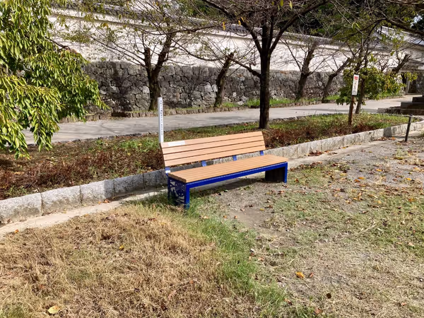 城西広場の写真1