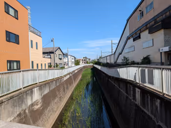 丸山橋の写真3