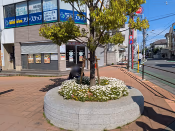 南口駅前広場の写真2