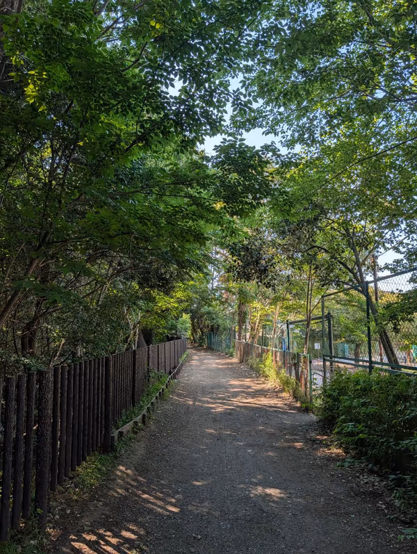 玉川上水 若草橋の写真5