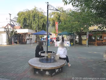 Circular wooden bench in front of Nagatoro Station