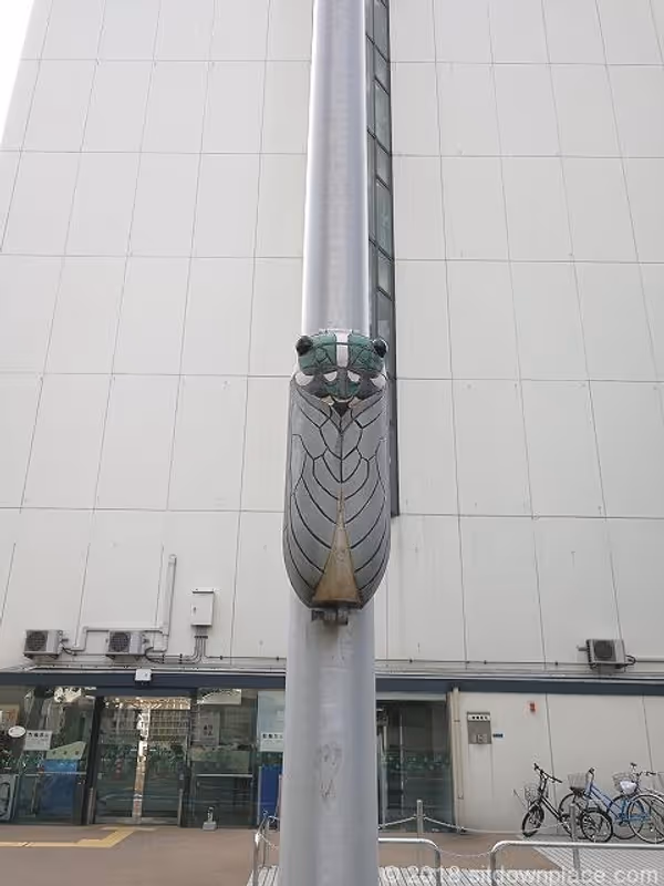 広徳公園の写真6