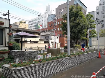 광덕 공원의 화단