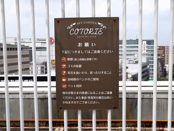 ルミネ屋上 スカイガーデンコトリエの写真5