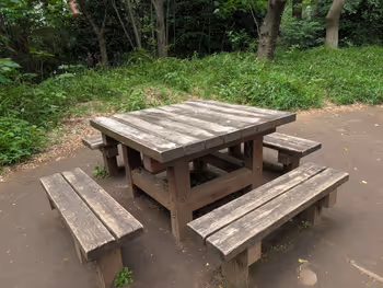 駒場野公園の写真3