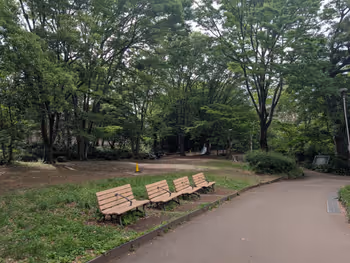 駒場野公園の写真2