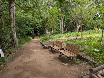駒場野公園の写真5