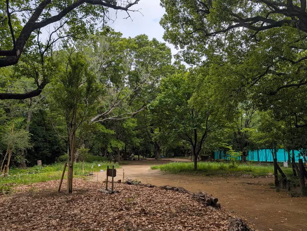 駒場野公園の写真6