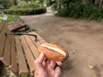 駒場野公園の写真4