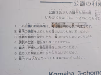 駒場三丁目もちの木公園の写真3