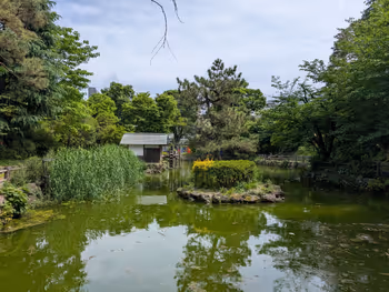 鍋島松濤公園の写真7