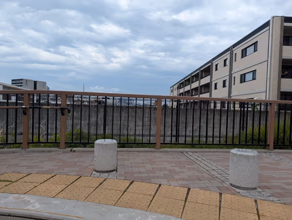 大山みはらし広場の写真3