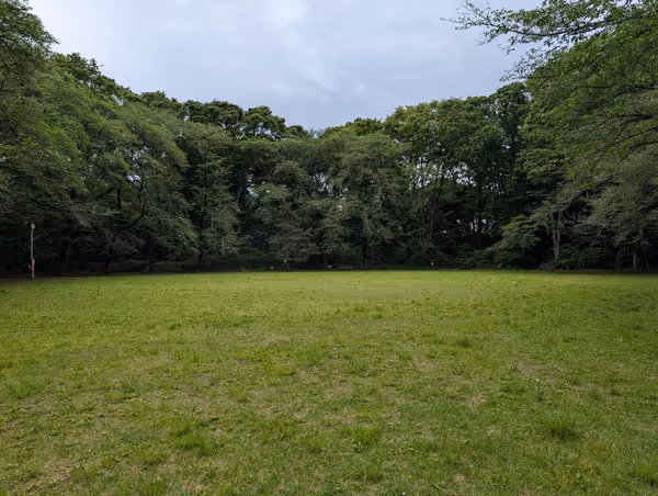 駒場公園の写真3