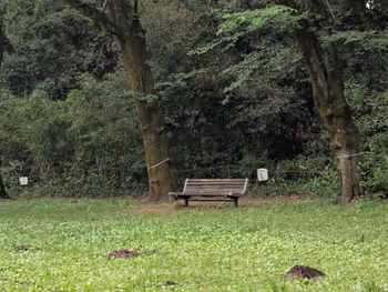 駒場公園の写真6