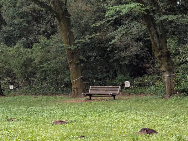 駒場公園の写真6