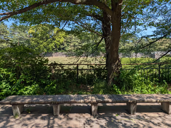 千鳥ヶ淵公園 半蔵門付近の写真3