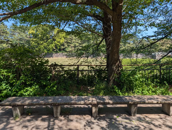 千鳥ヶ淵公園 半蔵門付近の写真3