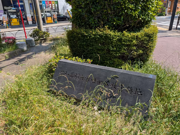弦巻5-1広場の写真4