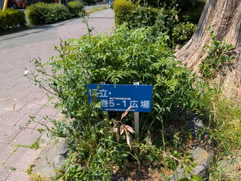 弦巻5-1広場の写真3