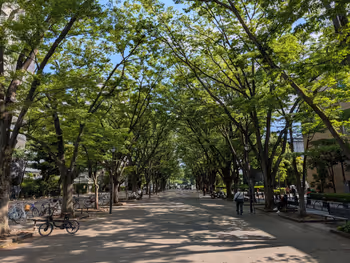 けやき広場の写真1