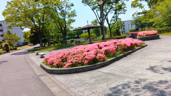 永山団地4-4東屋。団地のスーパーのすぐ後ろ。の写真1