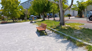きんりん公園 ゆりのき保育園の目の前にある公園内のベンチ。の写真2