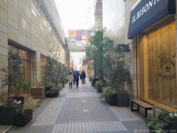 Coppice・Loft 前的街道