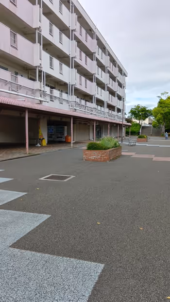 業務スーパー前の遊歩道の写真2