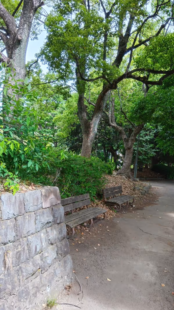 貝取南公園球技場を眺めての写真3