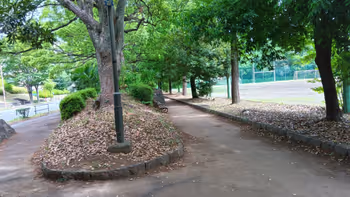 貝取南公園球技場を眺めての写真2