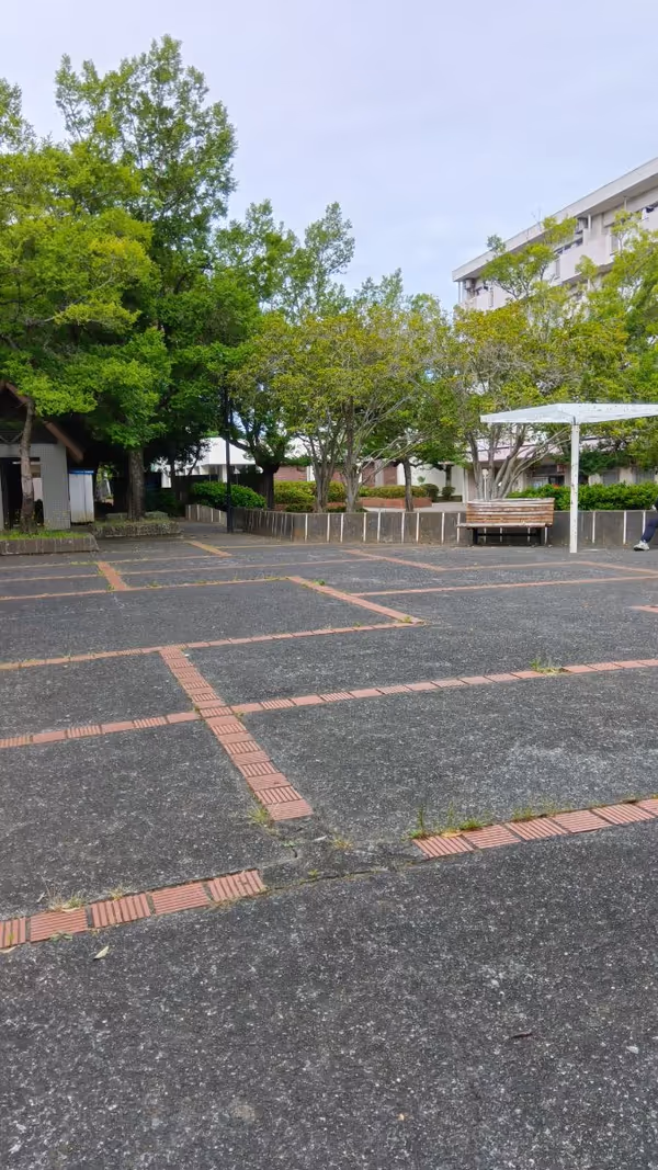 貝取第7公園の写真4