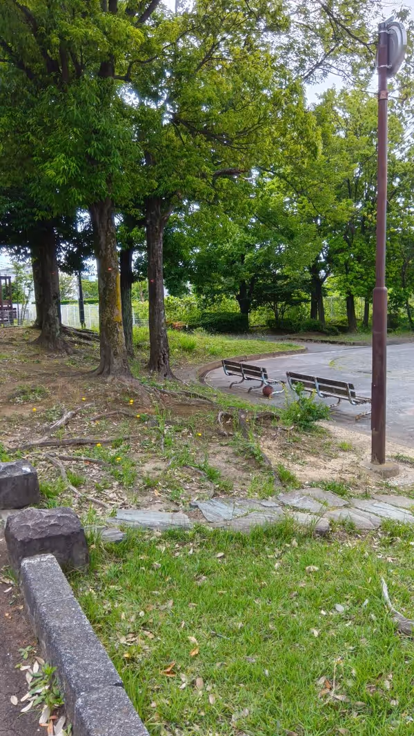 貝取第7公園の写真1