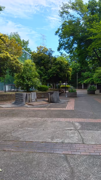 貝取南公園野球場の写真2
