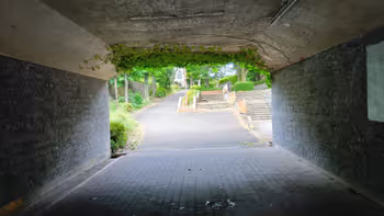 貝取南公園野球場の写真5