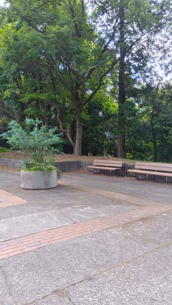 貝取南公園野球場の写真3