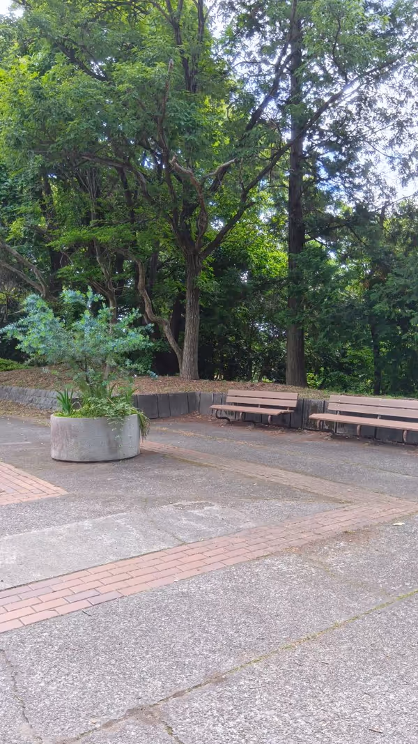 貝取南公園野球場の写真3