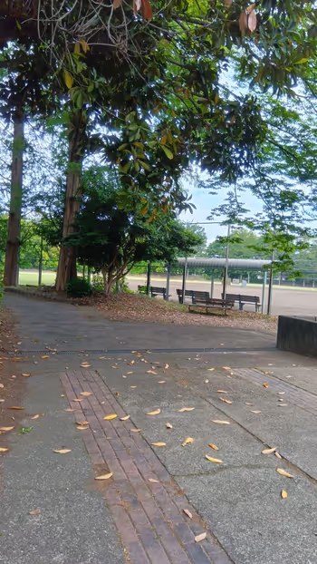 貝取南公園野球場の写真4