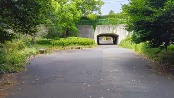 地図にない遊歩道にあるベンチ群の写真2