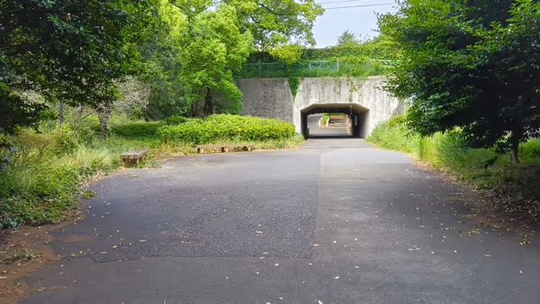地図にない遊歩道にあるベンチ群の写真2