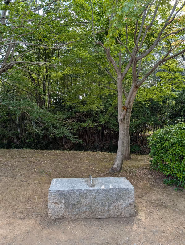水の苑緑地 お手洗い付近の写真1