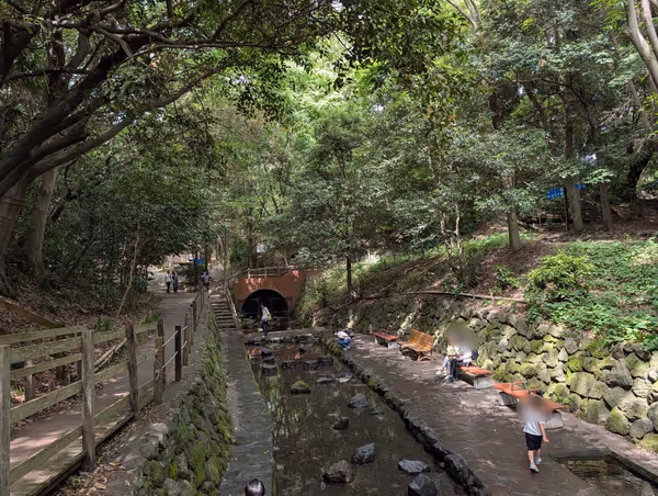 柿田川公園の写真3