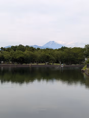 丸池公園の写真3