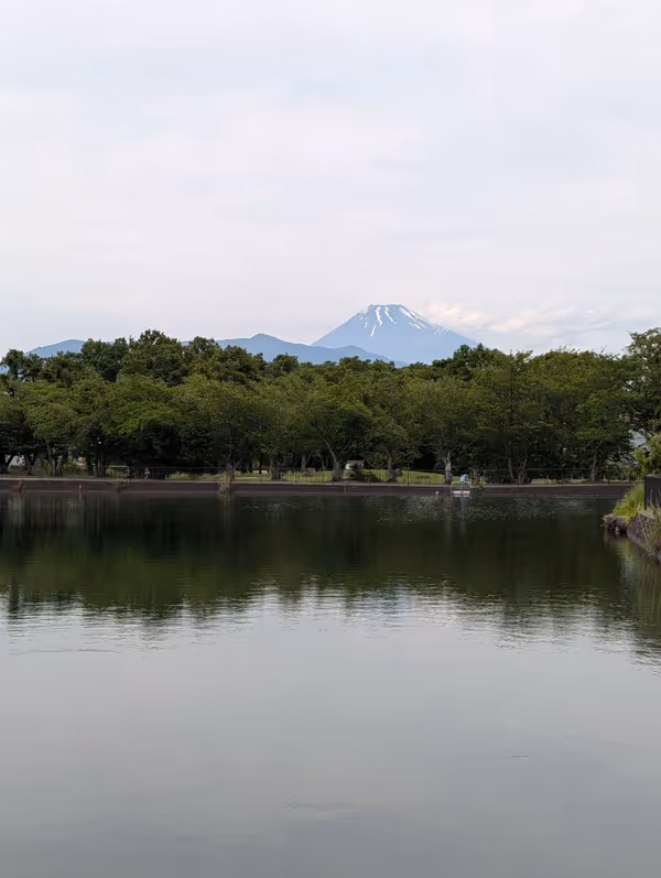 丸池公園の写真3