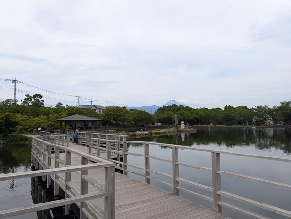丸池公園の写真1