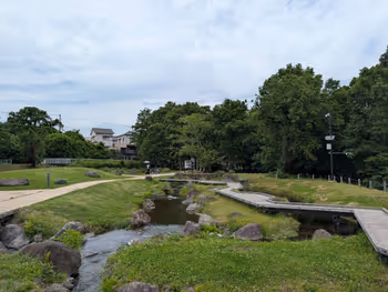 境川・清住緑地の写真3