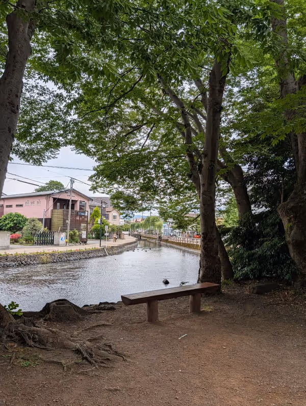 白滝公園の写真1